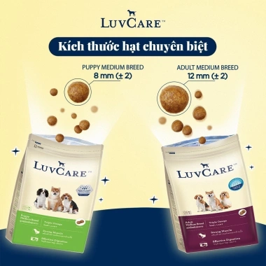 Tặng lược chải lông Luvcare - Thức ăn chó cao cấp hạt 500gr 3kg, giá giảm 55.800đ 4 Tặng lược chải lông Luvcare - Thức ăn chó cao cấp hạt 500gr 3kg, giá giảm 55.800đ 4