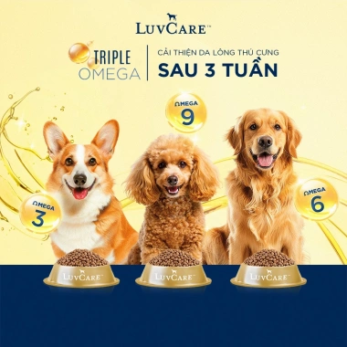 Tặng lược chải lông Luvcare Thức ăn hạt cho chó con giống vừa 500g/2kg giá ưu đãi 61.200 VND 2