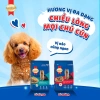 Tặng Nón + Yếm - Thức ăn SmartHeart hạt chó giống nhỏ vị bò nướng 1,3kg 112.500 VND 8