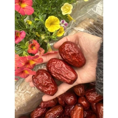 Táo đỏ Hòa Điền - Trái to, thịt ngọt tự nhiên, ăn trực tiếp hoặc nấu chè, giá ưu đãi 31.500₫