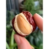 Táo Đỏ Kẹp Hạt Điều và Sữa Lạc Đà 1kg - Siêu Ngon, Giòn Tan, Thực Phẩm Lành Mạnh 5