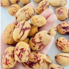 Táo Sấy Dẻo Tân Cương 160g - Táo Đỏ Không Hạt Giàu Dinh Dưỡng, Thơm Ngon Tự Nhiên, Không Chất Bảo Quản, Giá 60.000₫ 4