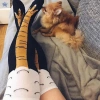 Tất chân gà cao đầu gối ngộ nghĩnh GJCUTE - Phong cách trẻ em & người lớn, giảm giá 56.268₫ 9