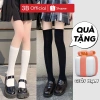 Tất vớ cao cổ 3B Hàn Quốc, trắng đen bắp đùi, Cotton, nhiều size, giá 8.819₫