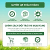 Tẩy Bồn Cầu Flashman 500g - Nước Tẩy Toilet Khử Mùi, Không Gắt, Thơm, Giá 45.000 2