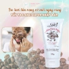 Tẩy Da Chết Mặt SHCI Coffee Face 135g – Cà Phê, Vitamin C, Sữa Trứng Dưỡng Da Sáng Mịn, Giá chỉ 89.999 VND 5