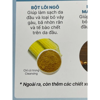 Tẩy tế bào chết da đầu Kochie Scalp Care 600ml - Loại bỏ 7 gàu, không gây tổn thương, giá chỉ 450.000 VND 2