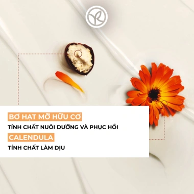 Tẩy tế bào chết toàn thân Bơ hạt mỡ Yves Rocher Rich Scrub 250ml - Giá chỉ 532.000đ
