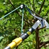 TAYO Đầu kéo cắt cành cây trên cao - Tỉa cây cảnh, hái hoa quả, chỉ 49.000₫ 5