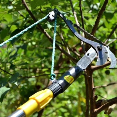 TAYO Đầu kéo cắt cành cây trên cao - Tỉa cây cảnh, hái hoa quả, chỉ 49.000₫ 5