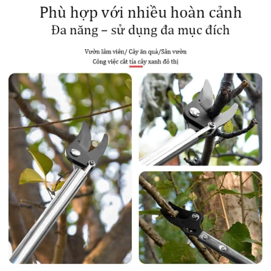 TAYO Kéo Cắt Cành Trên Cao 1.5m Kim Nhôm - Cắt Cành & Hái Quả, Giá 125.130 VND 2 TAYO Kéo Cắt Cành Trên Cao 1.5m Kim Nhôm - Cắt Cành & Hái Quả, Giá 125.130 VND 2