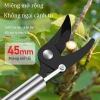 TAYO Kéo Cắt Cành Trên Cao 1.5m Kim Nhôm - Cắt Cành & Hái Quả, Giá 125.130 VND 6