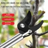 TAYO Kéo Cắt Cành Trên Cao 1.5m Kim Nhôm - Cắt Cành & Hái Quả, Giá 125.130 VND 7