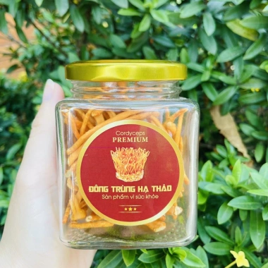Tem dán đông trùng hạ thảo tự nhiên – Giảm 22% chỉ 9.500₫, tăng sức đề kháng
