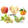 Tem dán trái cây trang trí Chữ Tài Lộc Rau củ quả 80 hình 4cm - Giá chỉ 90.200₫ 2