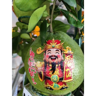 Tem dán trái cây Trang trí Thần Tài 6 hình - cao 13.7 cm, giá ưu đãi 95.120 VND