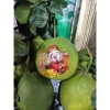 Tem dán trái cây Trang trí Thần Tài 6 hình - cao 13.7 cm, giá ưu đãi 95.120 VND 7