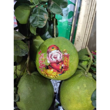 Tem dán trái cây Trang trí Thần Tài 6 hình - cao 13.7 cm, giá ưu đãi 95.120 VND