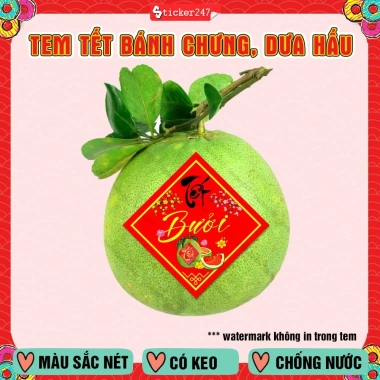Tem Tết Dán Bánh Chưng, Bánh Tét Dưa Hấu Keo – Sticker Hình Thoi 2.026 22.500đ
