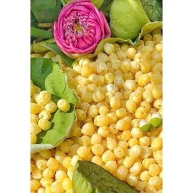 Tết Túi 1Kg Hạt Mứt Sen Huế Thơm Bùi Ngon, Giá Giảm 225.000₫ (Giá Gốc 281.250) 5