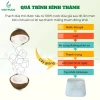 Thạch dừa hạt chia Triết Ngọc 1KG - Nguyên liệu topping, giá ưu đãi 100k 3