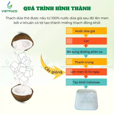 Thạch dừa hạt chia Triết Ngọc 1KG - Nguyên liệu topping, giá ưu đãi 100k