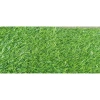 Thảm cỏ nhân tạo giá rẻ 2cm - Cỏ trang trí, giao hỏa tốc, chỉ 165.000 dong 2