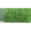 Thảm cỏ nhân tạo giá rẻ 2cm - Cỏ trang trí, giao hỏa tốc, chỉ 165.000 dong 3
