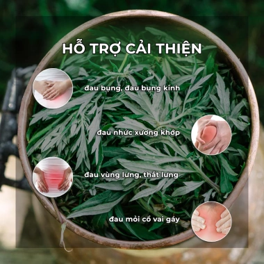 Thảm Ngải Cứu Cao Cấp Hoàng Thịnh An Health Lab, Giá 490.000 VND, Giảm 21% 9 Thảm Ngải Cứu Cao Cấp Hoàng Thịnh An Health Lab, Giá 490.000 VND, Giảm 21% 9