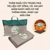 Thảm ngải cứu dày đẹp 2,2kg, cắm điện trực tiếp 60x150cm Giá ưu đãi 315.000đ 6