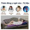 Thảm ngải cứu dày đẹp 2,2kg, cắm điện trực tiếp 60x150cm Giá ưu đãi 315.000đ 7