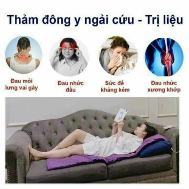 Thảm ngải cứu dày đẹp 2,2kg, cắm điện trực tiếp 60x150cm Giá ưu đãi 315.000đ 7