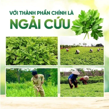 Thảm ngải cứu điện Đệm sưởi Đông Y Giãn cơ, giảm đau, máy sưởi Loại 1 3