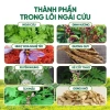 Thảm ngải cứu điện Đệm sưởi Đông Y Giãn cơ, giảm đau, máy sưởi Loại 1 4