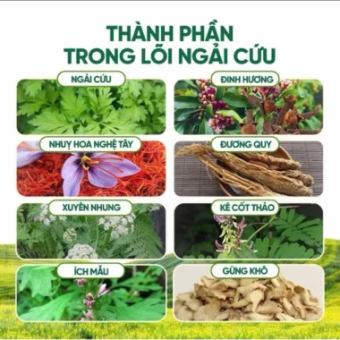 Thảm ngải cứu điện Đệm sưởi Đông Y Giãn cơ thể giảm đau nhức Chỉ 199.000đ 5