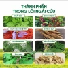 Thảm ngải cứu điện và Đệm sưởi Đông Y Giãn cơ giảm đau chỉ 199.000đ 5
