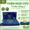 Thảm Ngải Cứu PHÚC AN Đệm Thảo Dược Giảm Đau Mỏi Xương Khớp, Lưu Thông Khí Huyết - Giá 665.000 VND 2