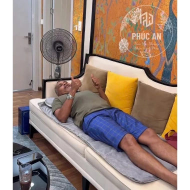 Thảm Ngải Cứu PHÚC AN Đệm Thảo Dược Giảm Đau Mỏi Xương Khớp, Lưu Thông Khí Huyết - Giá 665.000 VND