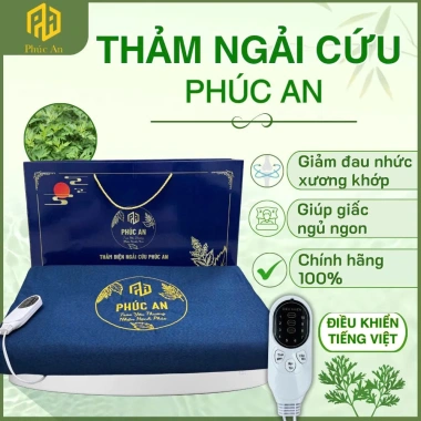 Thảm Ngải Cứu Phúc An - Gối tặng kèm, chỉ 665.000đ, cho phòng khách & ngủ 9