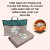 Thảm ngải cứu thảo dược HAISPA OFFICIALSTORE - Đệm ngải cứu giảm giá 650k 3
