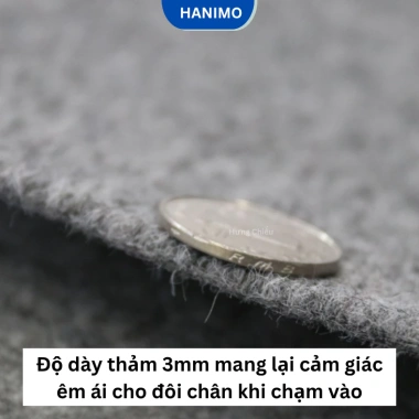 Thảm nỉ đa năng 3mm lót sàn phòng khách & văn phòng - HANIMO HA22 22.900₫