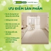Thảm Trải Sàn Bali HOMIES Bedding Décor Hoạ Tiết 2.025 Basic - Giá 243.600₫, giảm từ 292.320₫, phù hợp phòng khách 4