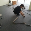 Thảm Trải Sàn Nỉ Chống Trượt 72.000đ - Văn Phòng, Phòng Khách, Sự Kiện 3