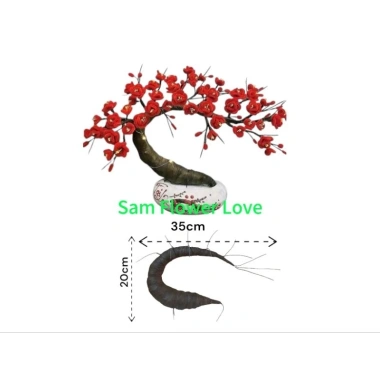 Thân cây đào và mai bonsai Tết - Gốc hoa kẽm uốn cong dễ dàng, giá 40.000đ