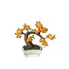 Thân cây đào và mai bonsai Tết - Gốc hoa kẽm uốn cong dễ dàng, giá 40.000đ 6