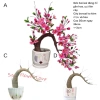Thân cây đào và mai bonsai Tết - Gốc hoa kẽm uốn cong dễ dàng, giá 40.000đ 9