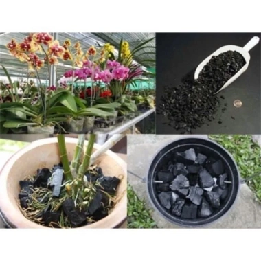 Than Củi Nướng Thịt, Trồng Lan - 5Kg Than Hoa Gỗ Giá Rẻ 62000Đ 4 Than Củi Nướng Thịt, Trồng Lan - 5Kg Than Hoa Gỗ Giá Rẻ 62000Đ 4
