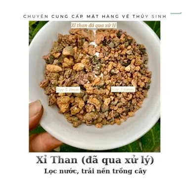Than lọc nước 1kg đã qua xử lý - Giảm giá, phù hợp trồng cây cảnh, sạch, tiết kiệm