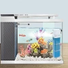 Thanh lọc nước FUHUIOT - Bộ lọc chìm bể cá nhựa tắt tiếng, tích hợp máy bơm tuần hoàn, tháo rời, hút vệ sinh - 116.930₫ 9