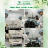 Thảo dược hỗ trợ nhuận tràng - Trà Phan Tả Diệp Đức Thiện 30 túi, giảm đầy hơi, tiêu hoá tốt, chỉ 57.000đ 4